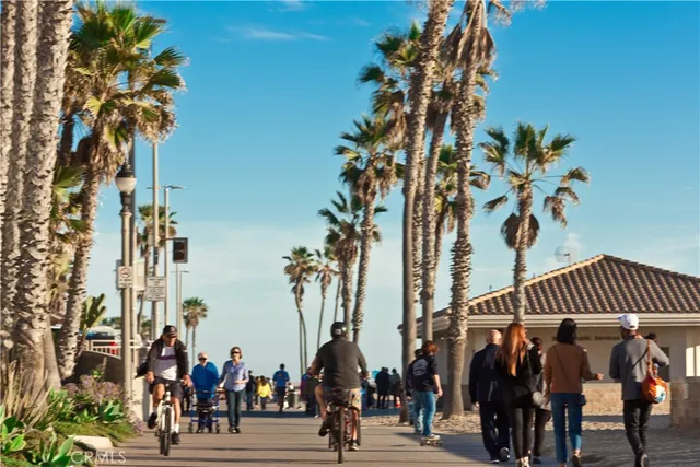 a view of a park with a tree