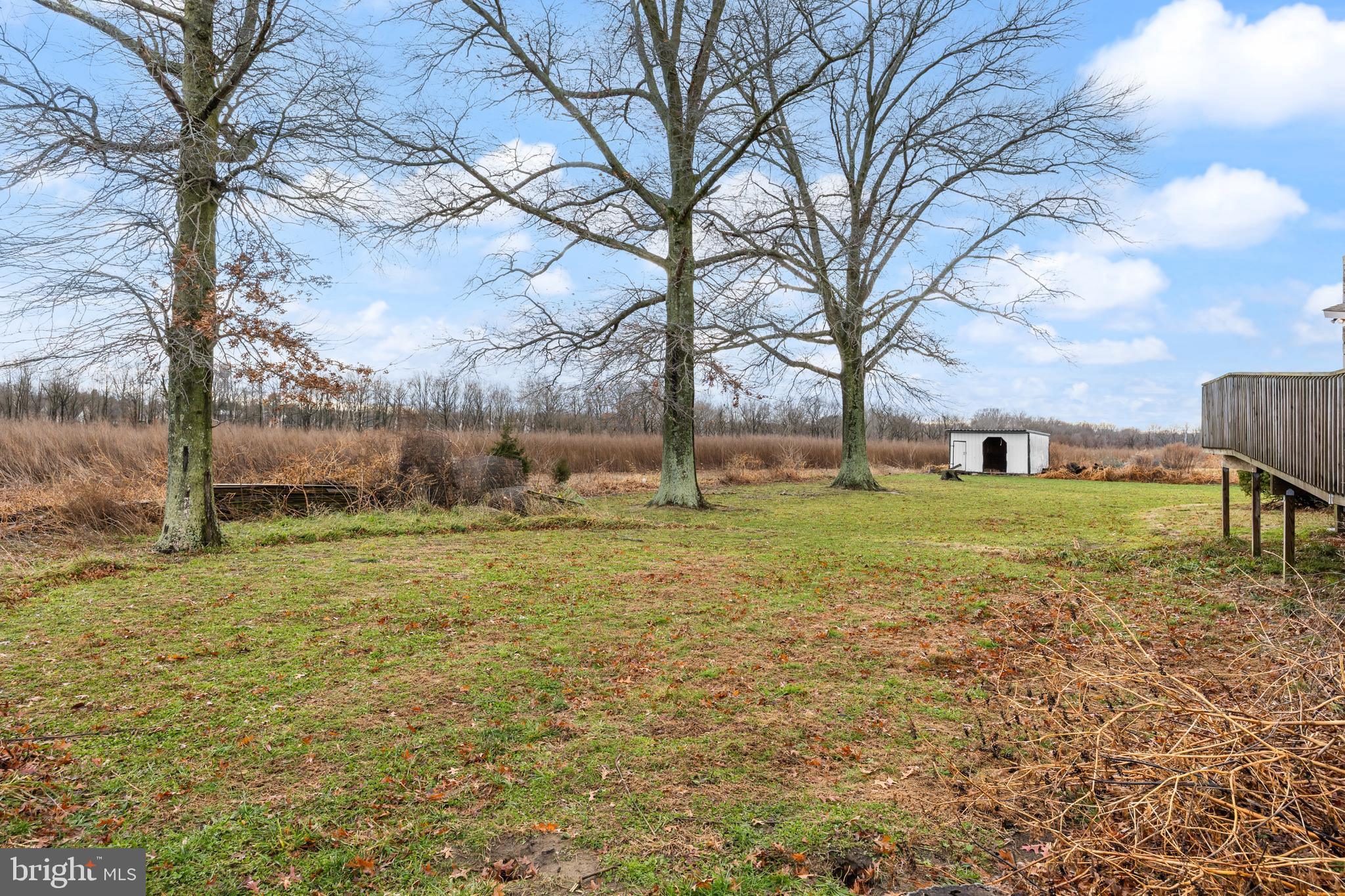 51 Arneys Mt Road Pemberton, NJ 08068 - Photo 44 of 65