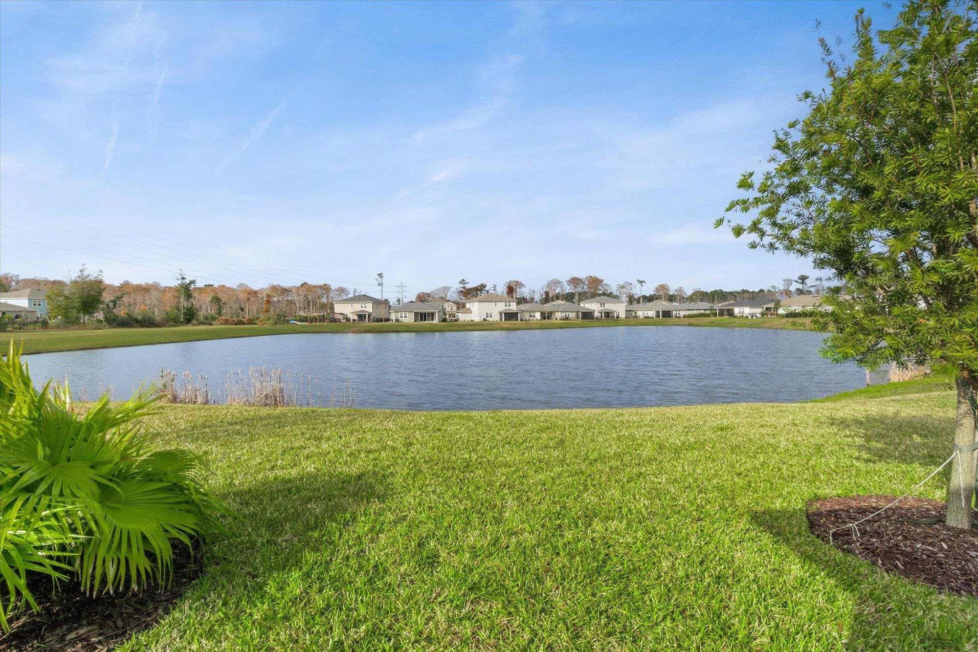 204 Field Flower Way St. Augustine, FL 32092 - Photo 6 of 60 a view of a lake with houses in the back