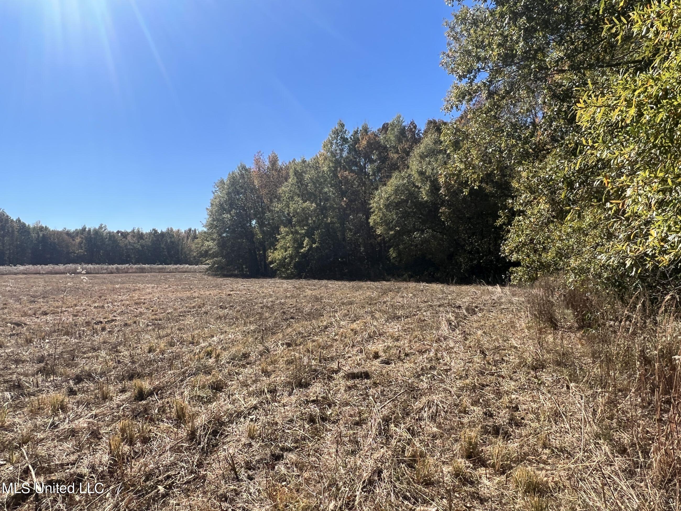 5151 Nash Road Batesville, MS 38606 - Photo 33 of 75 3irvi22