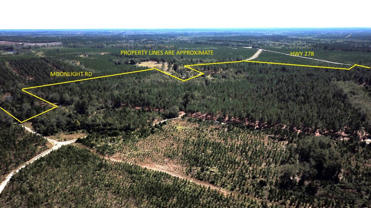 0 Moonlight Road Williston, SC 29853 - Photo 11 of 11 DJI_0084
