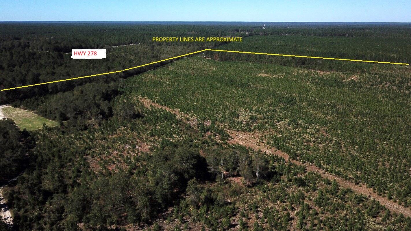 0 Moonlight Road Williston, SC 29853 - Photo 6 of 11 DJI_0089