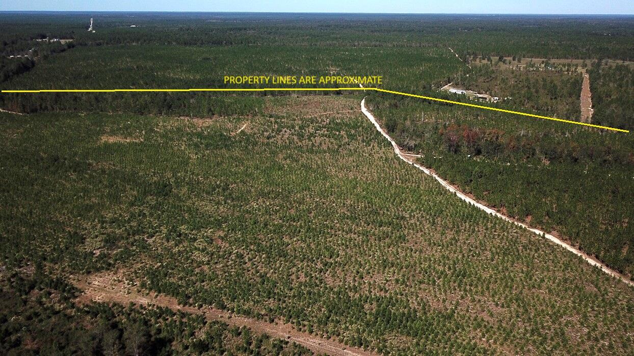 0 Moonlight Road Williston, SC 29853 - Photo 7 of 11 DJI_0071