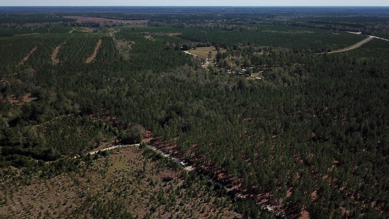 0 Moonlight Road Williston, SC 29853 - Photo 8 of 11 DJI_0073
