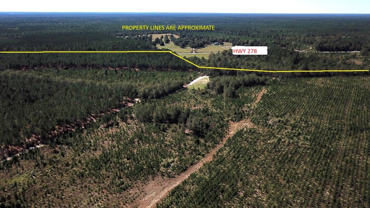 0 Moonlight Road Williston, SC 29853 - Photo 9 of 11 DJI_0074