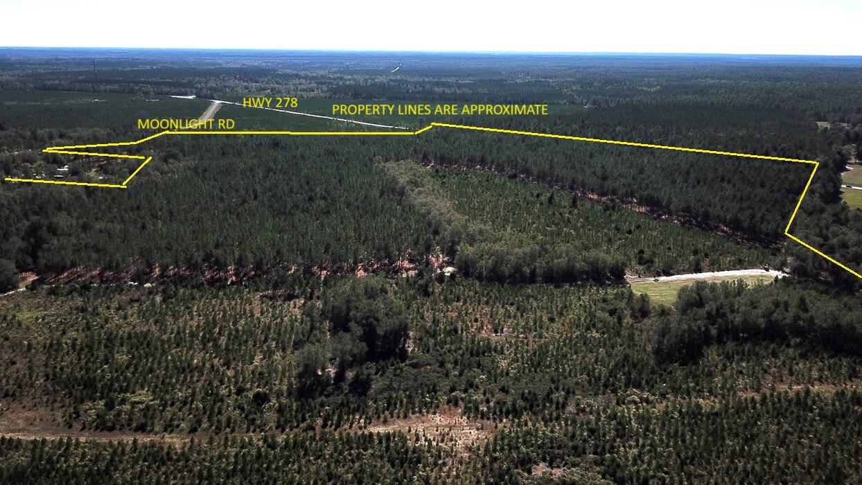 0 Moonlight Road Williston, SC 29853 - Photo 10 of 11 DJI_0081