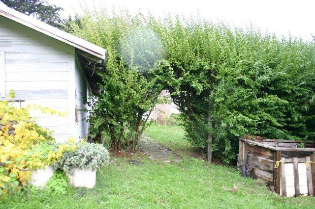 12-14 Weymouth Bluff Road Ferndale, CA 95536 - Photo 67 of 77