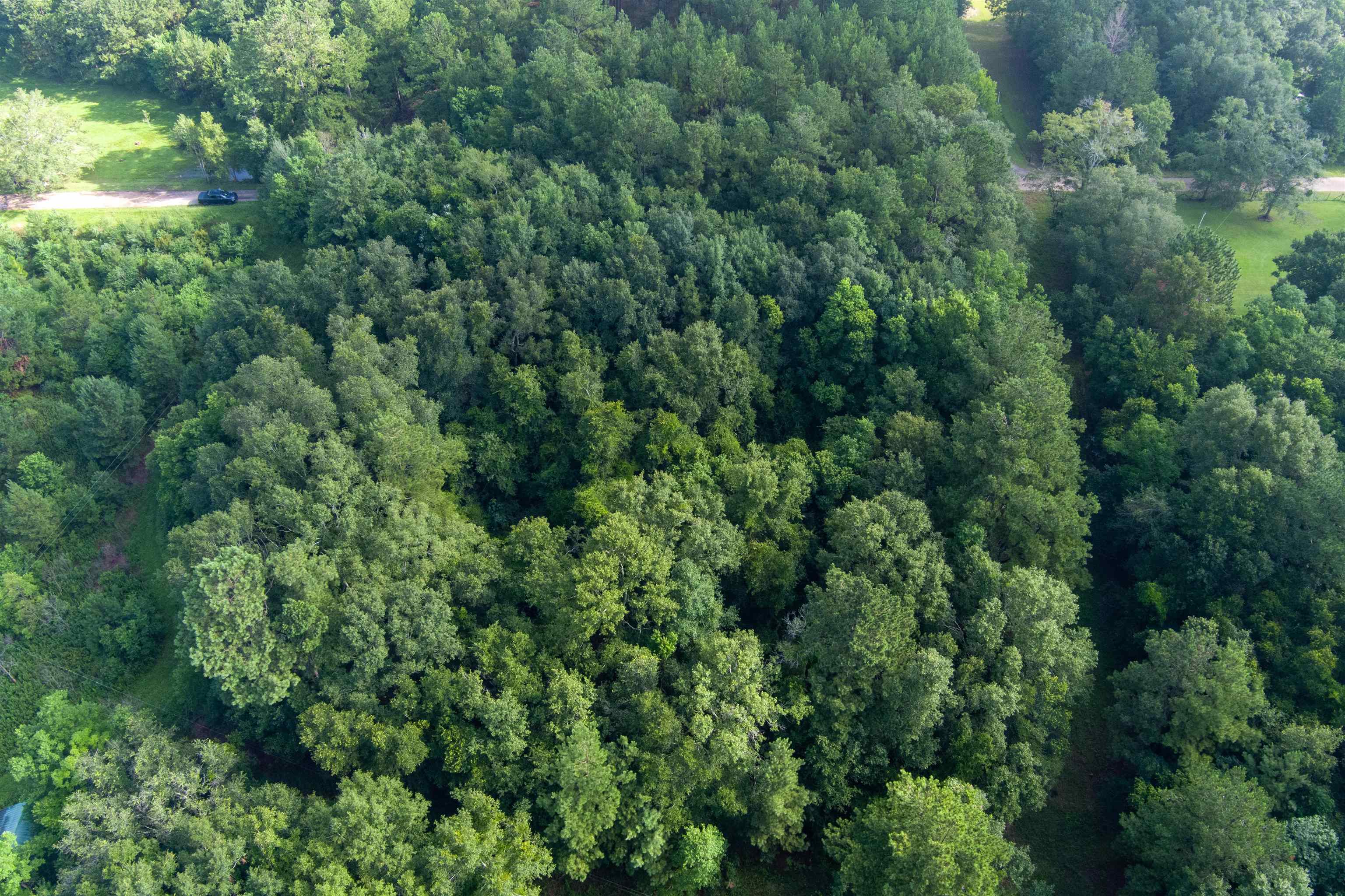 0 Grimsley Road Creola, AL 36525 - Photo 4 of 5