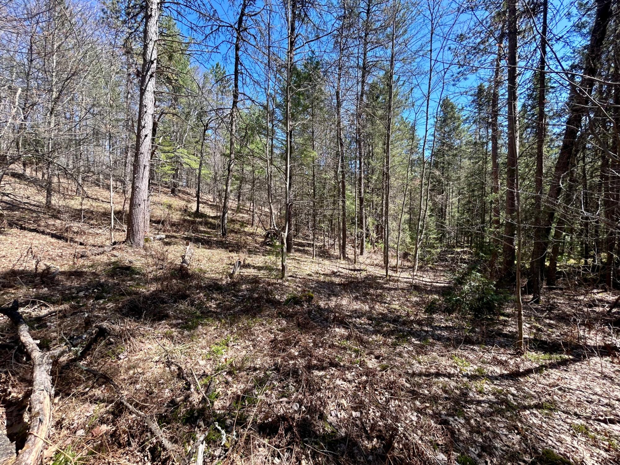 80-ac Off Razorback Road Conover, WI 54519 - Photo 18 of 19