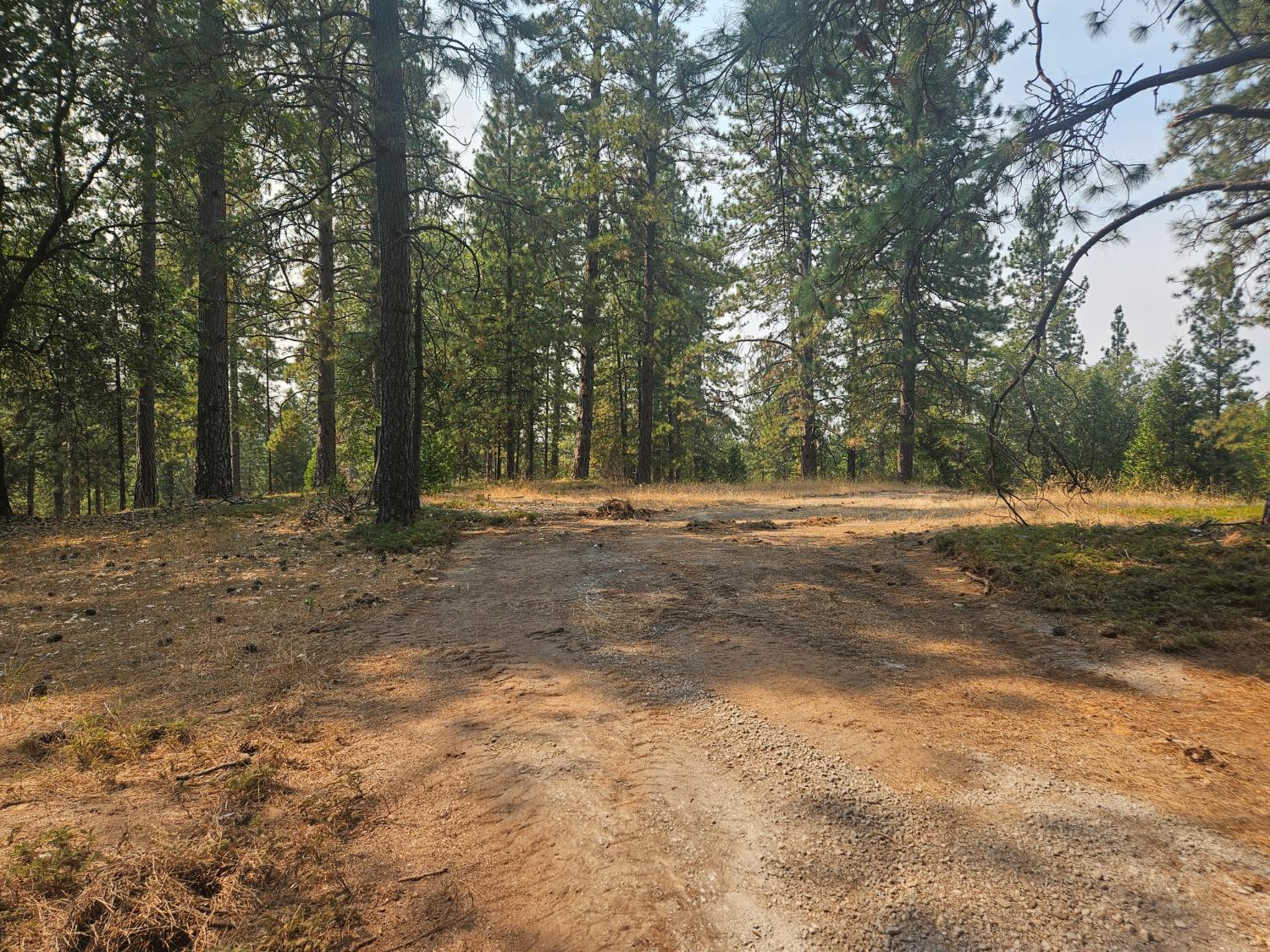 1712 Ridge Road Mokelumne Hill, CA 95245 - Photo 33 of 39 Gallery Image 33