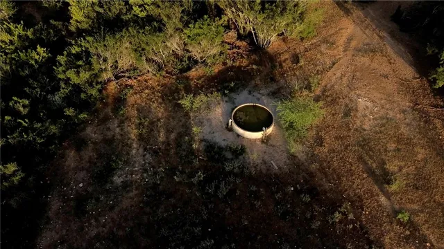 a view of a dry yard