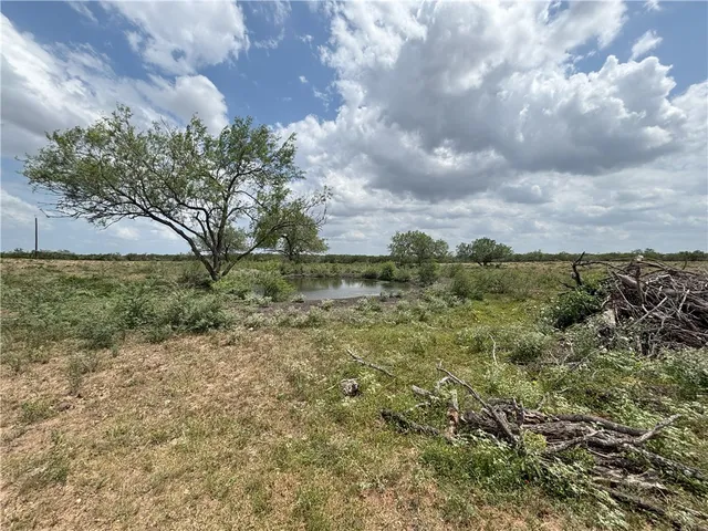 a view of a field with plants and trees
