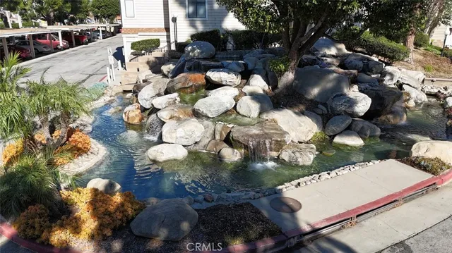 a view of a garden with plants