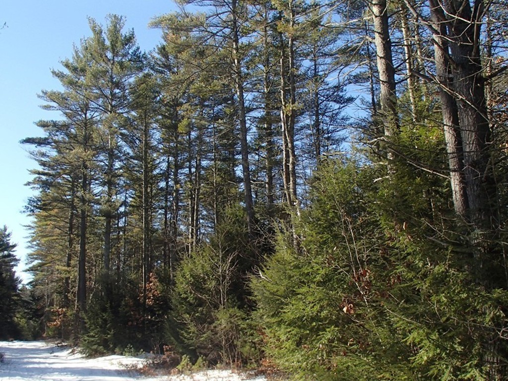 B90-p54 Branch Bridge Road New Salem, MA 01355 - Photo 5 of 26 Gallery Image 5