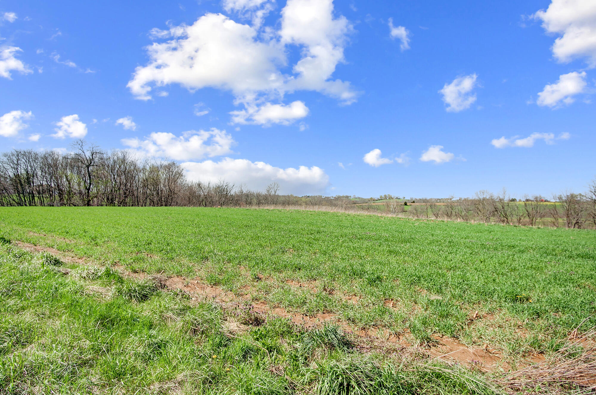 1 Cason Lane Dry Ridge, KY 41035 - Photo 3 of 5 Gallery Image 3