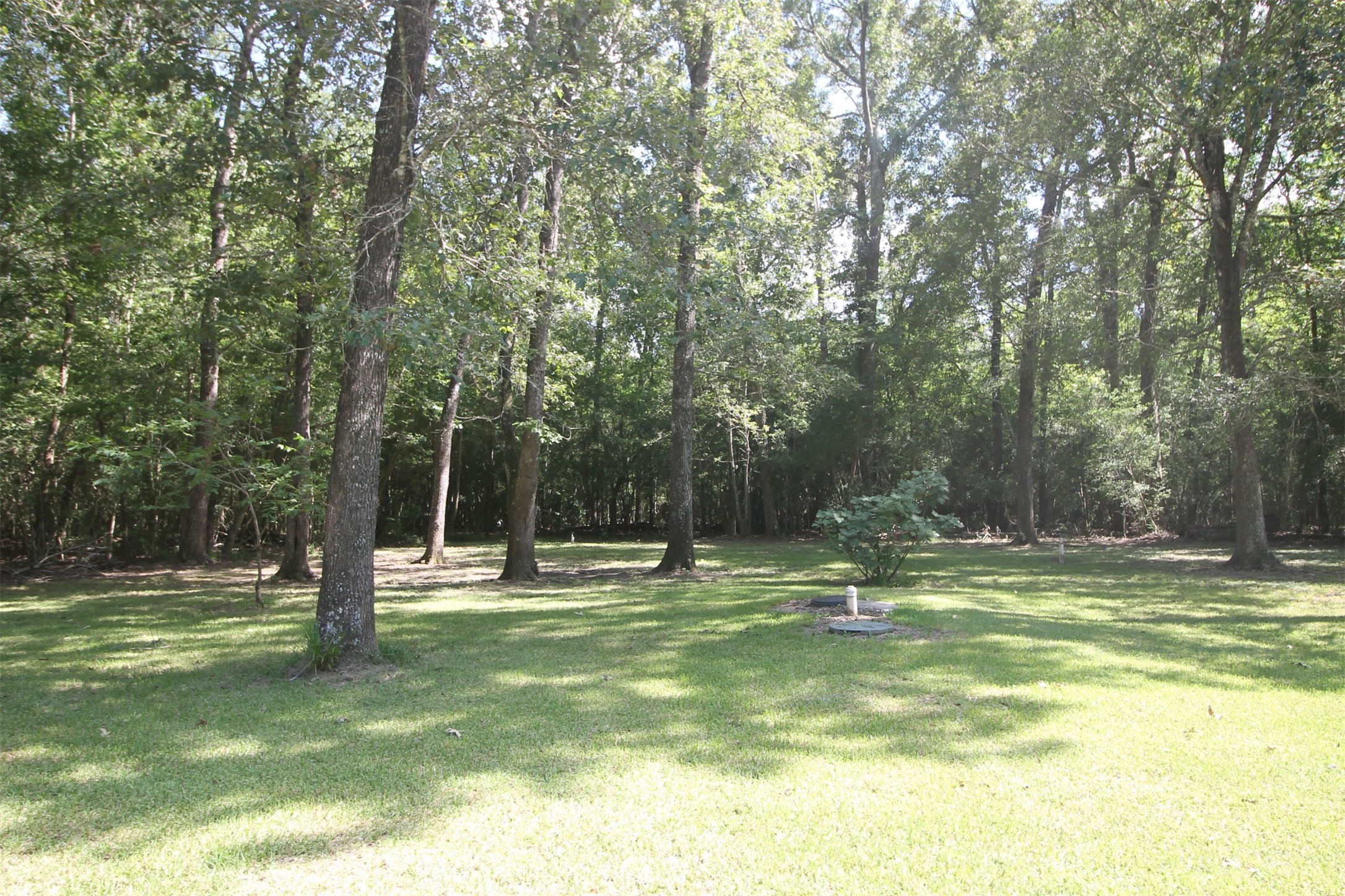 1528 County Road 2005 Liberty, TX 77575 - Photo 11 of 26 a park with lots of trees