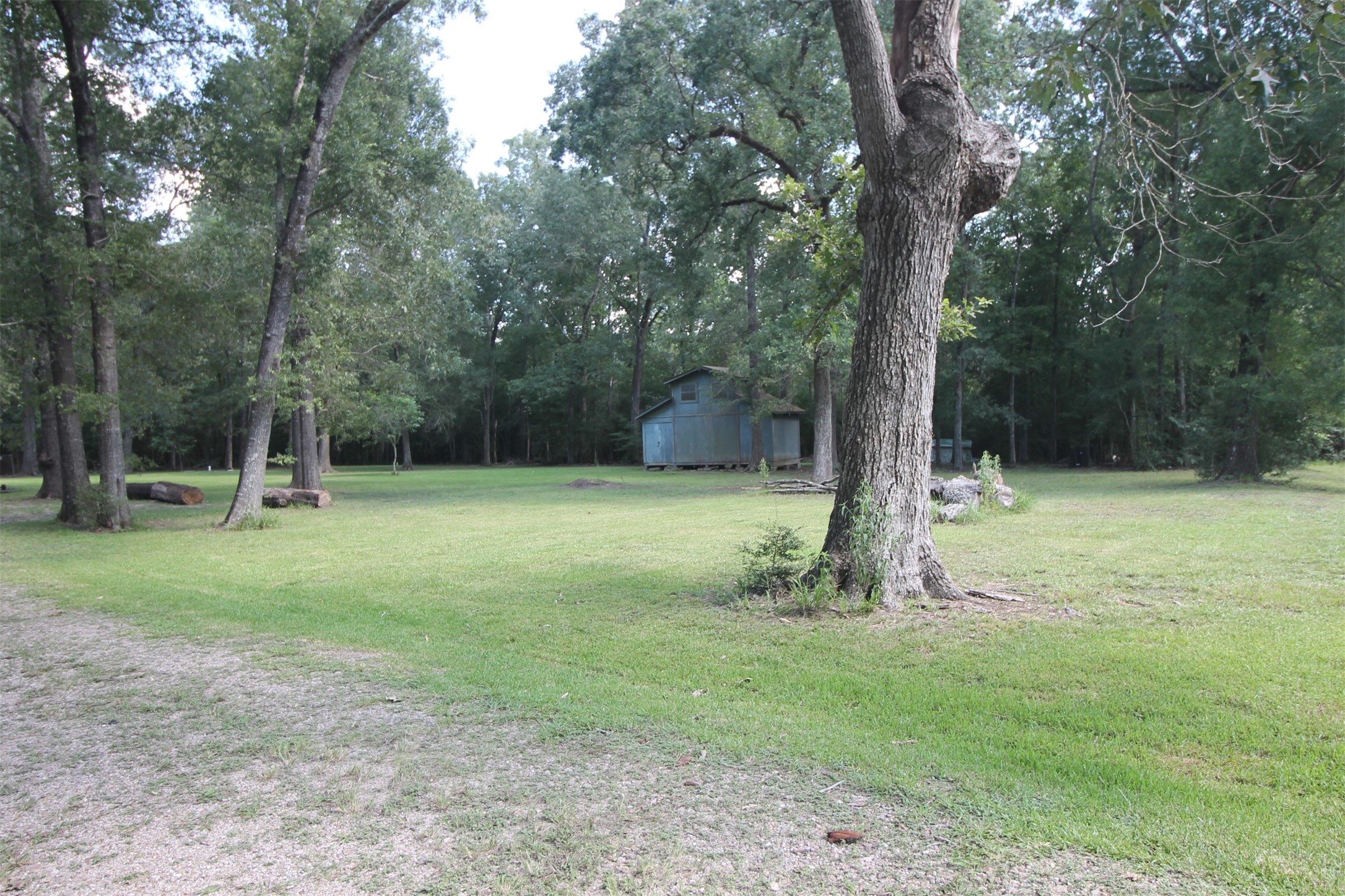 1528 County Road 2005 Liberty, TX 77575 - Photo 5 of 26 a view of a park with a tree