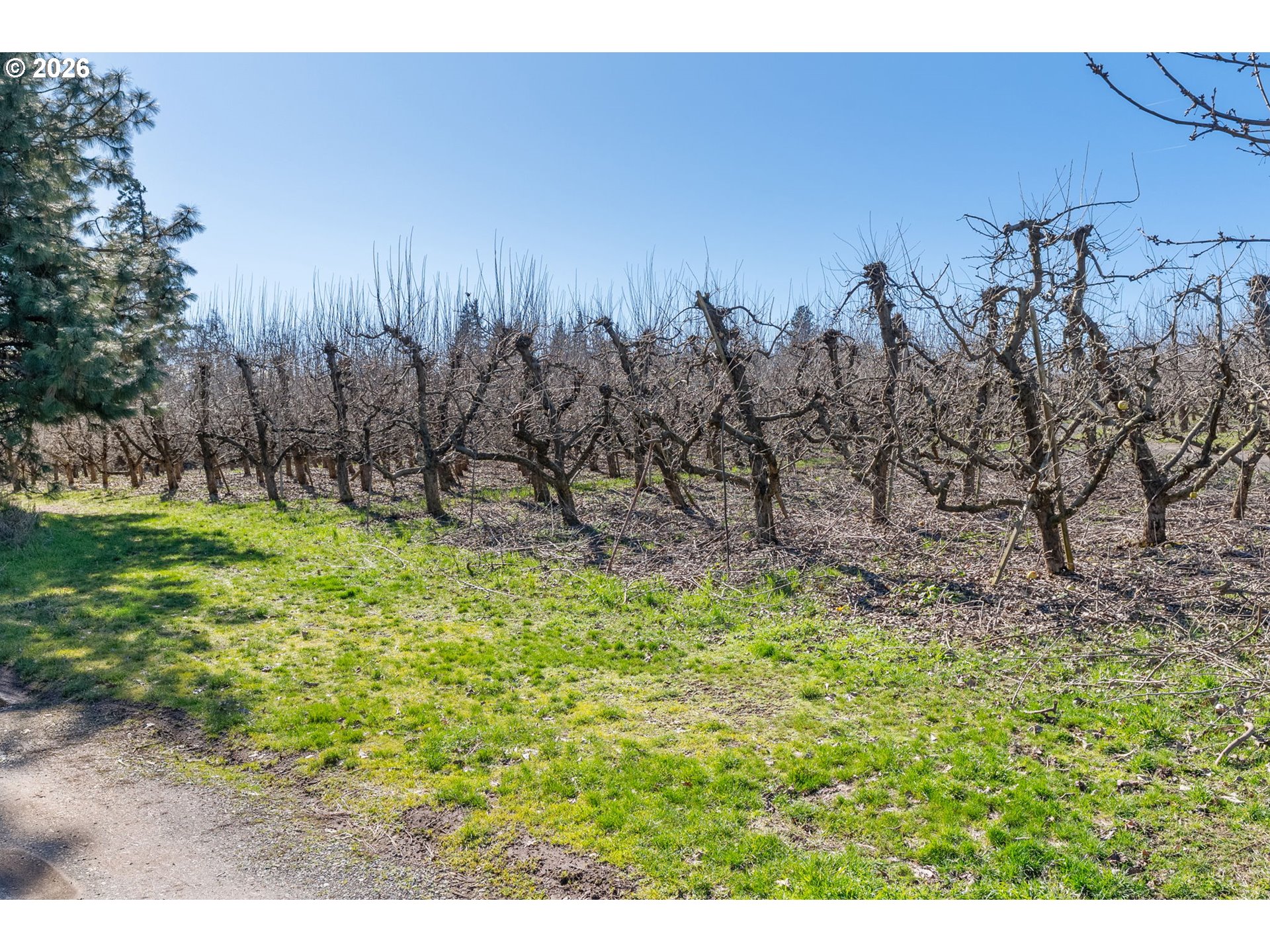 1580 Markham Road Hood River, OR 97031 - Photo 20 of 46