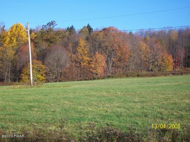 252 Oakley Road Damascus, PA 18415 - Photo 2 of 28
