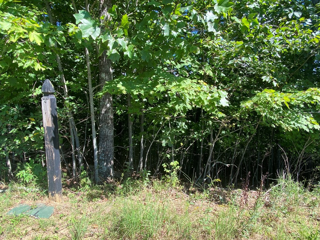 115 Vance Mountain Road Murphy, NC 28906 - Photo 3 of 13