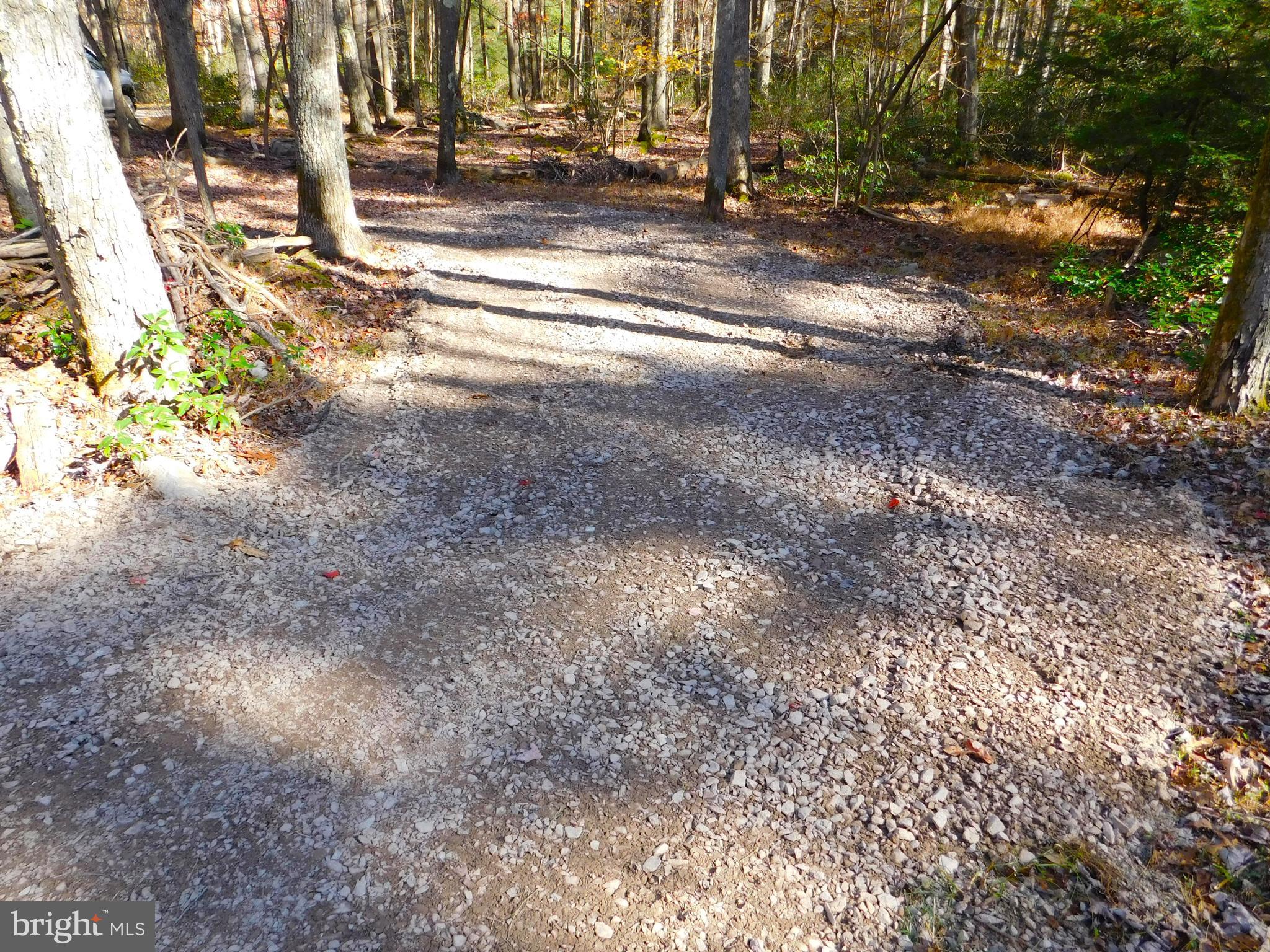 149 Gobbler Run Road Oakland, MD 21550 - Photo 11 of 15 Gallery Image 11