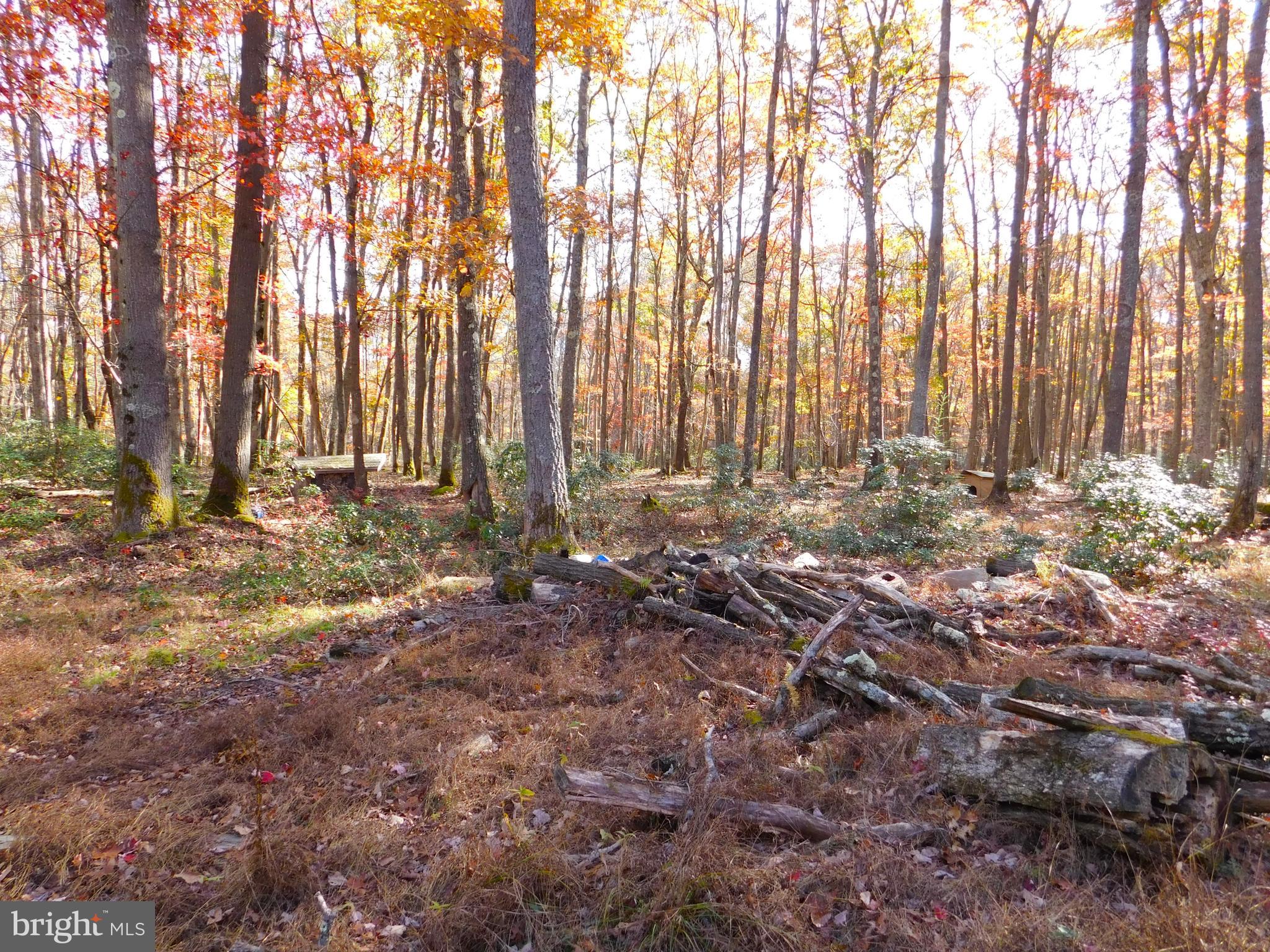 149 Gobbler Run Road Oakland, MD 21550 - Photo 14 of 15 Gallery Image 14