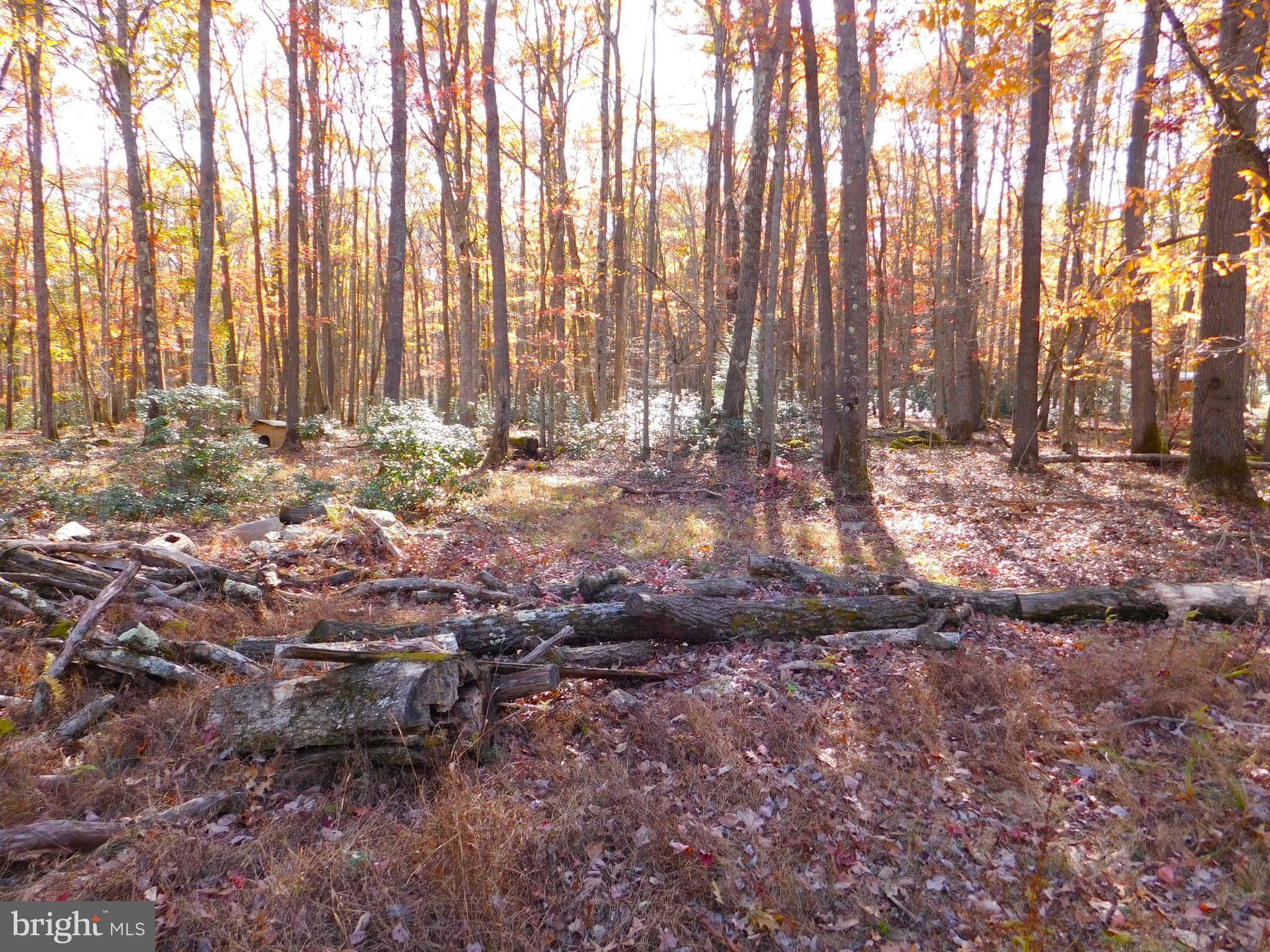 149 Gobbler Run Road Oakland, MD 21550 - Photo 15 of 15 Gallery Image 15