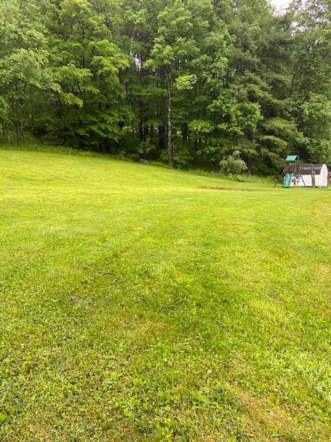 1185 Shawna Road Cherry Tree, PA 15724 - Photo 9 of 25 Gallery Image 9