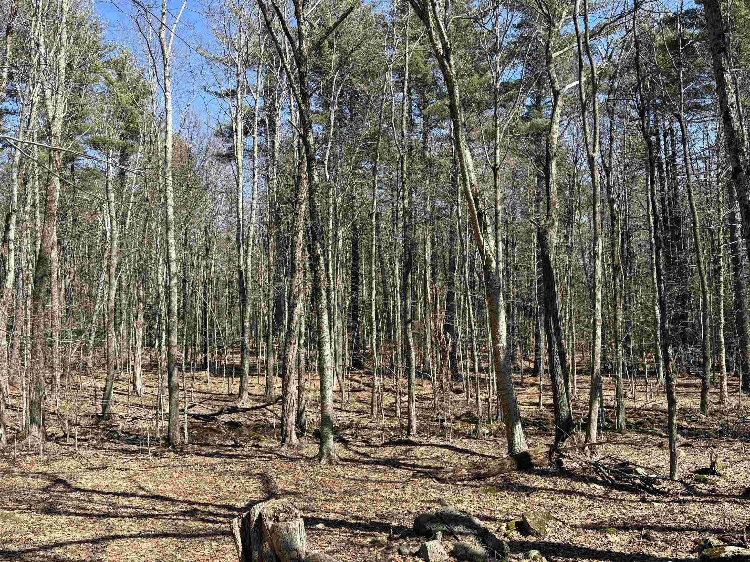 79-1 Currier Road Candia, NH 03034 - Photo 16 of 33