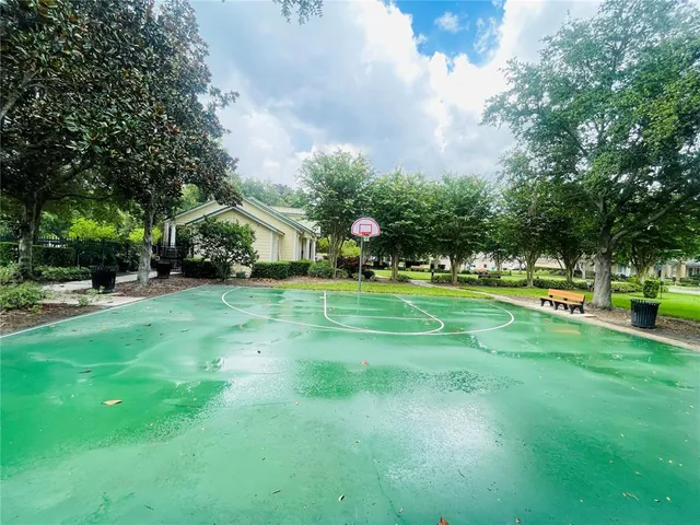 a view of a park with large trees
