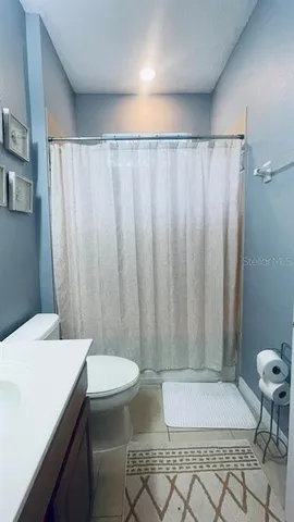 a bathroom with a sink a toilet a rug and shower