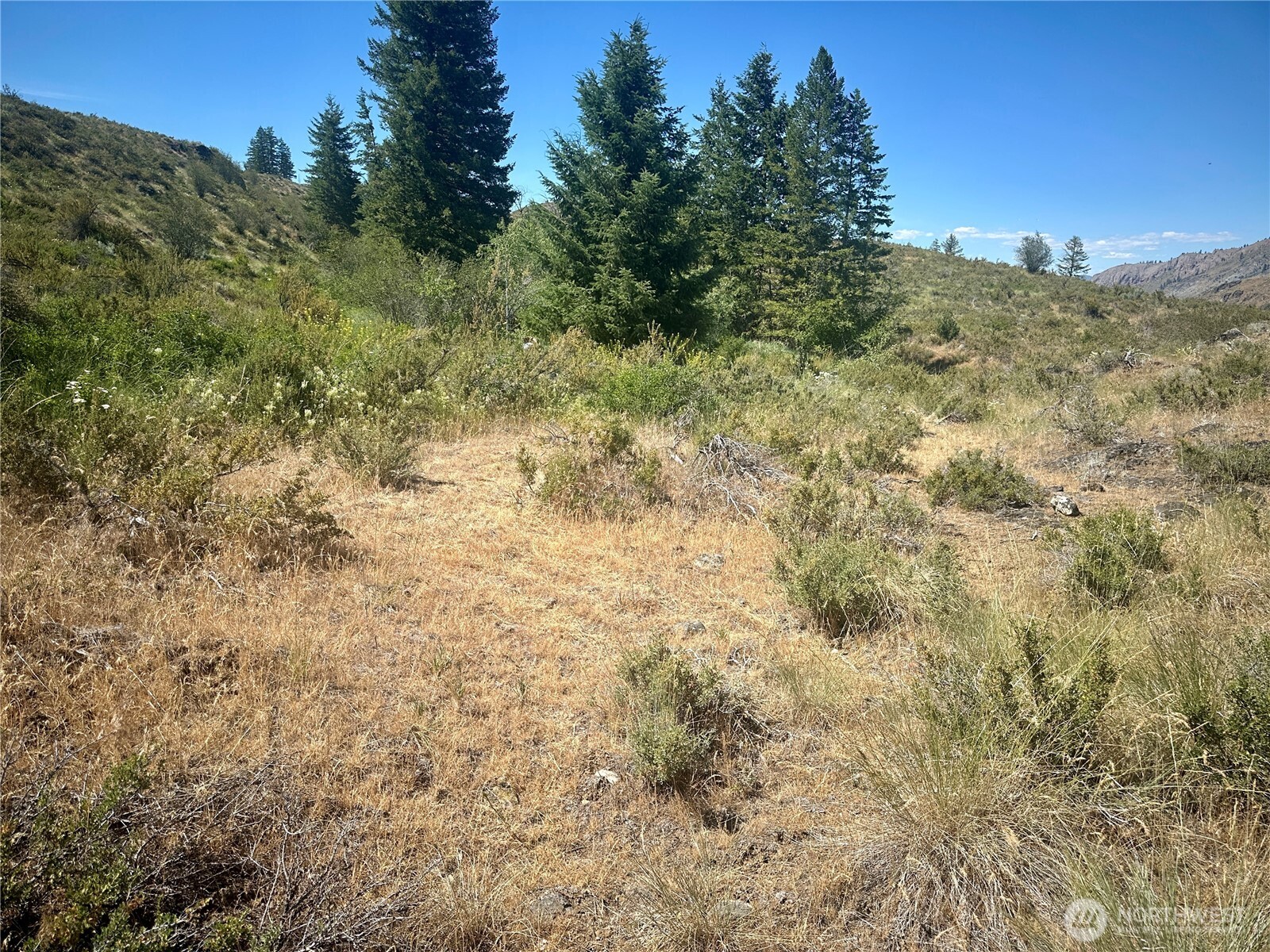2 X Alder Road Twisp, WA 98856 - Photo 37 of 38