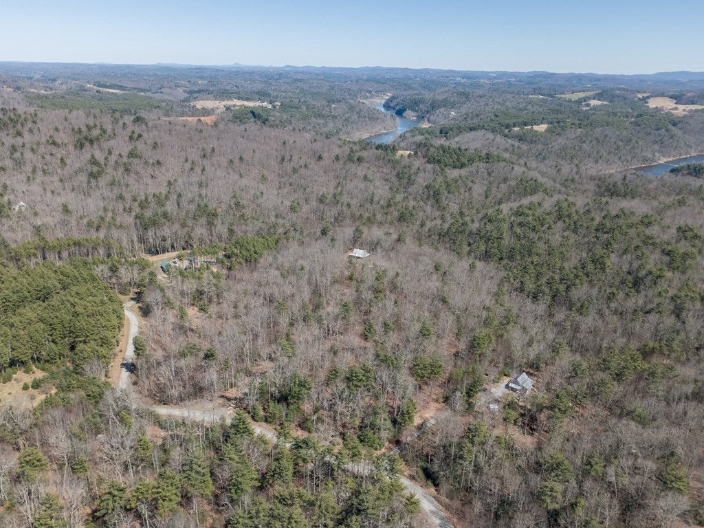 Lot 12 Ridge Line Trail, Unit 12 Independence, VA 24348 - Photo 52 of 66 Gallery Image 52