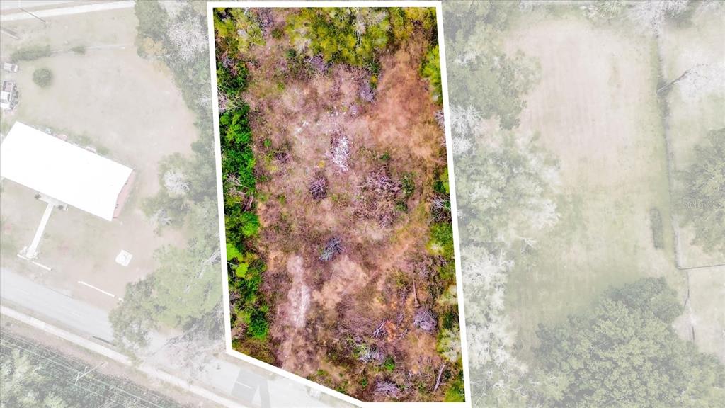 1650 Northwest 7th Street Ocala, FL 34475 - Photo 4 of 43 a bathroom with a shower
