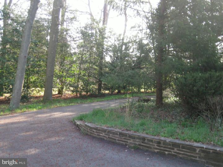 844 Route 537 Cream Ridge, NJ 08514 - Photo 6 of 16