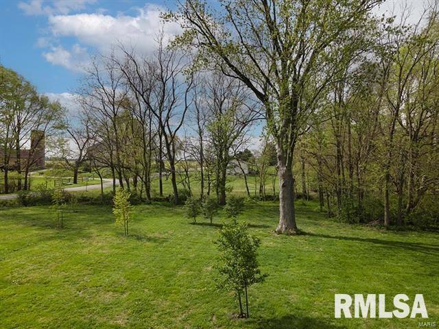 29 Deer Run Herrin, IL 62948 - Photo 2 of 5 a view of a park with large trees