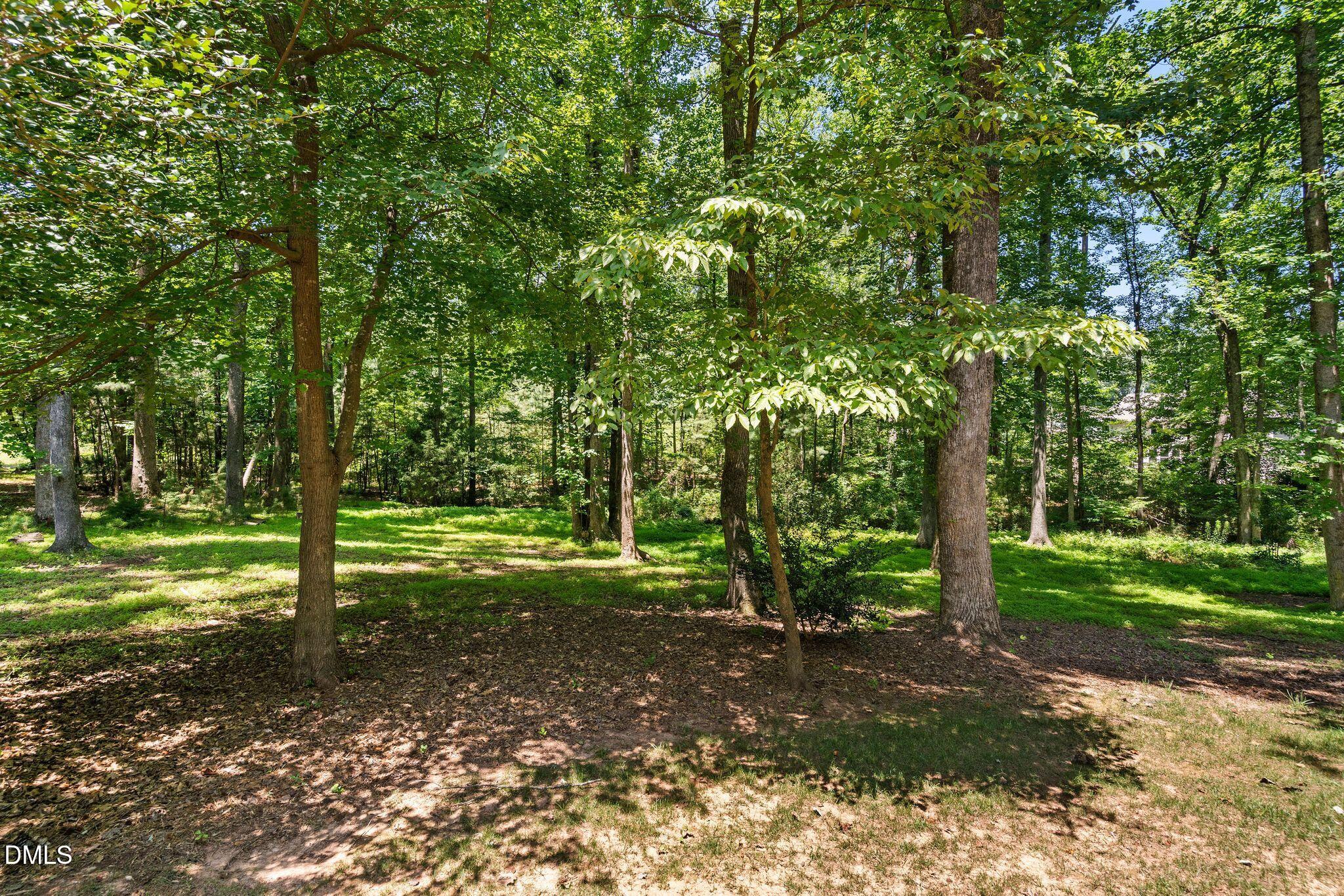 9619 Allsbrooke Drive Raleigh, NC 27613 - Photo 64 of 79 19_NJO00758