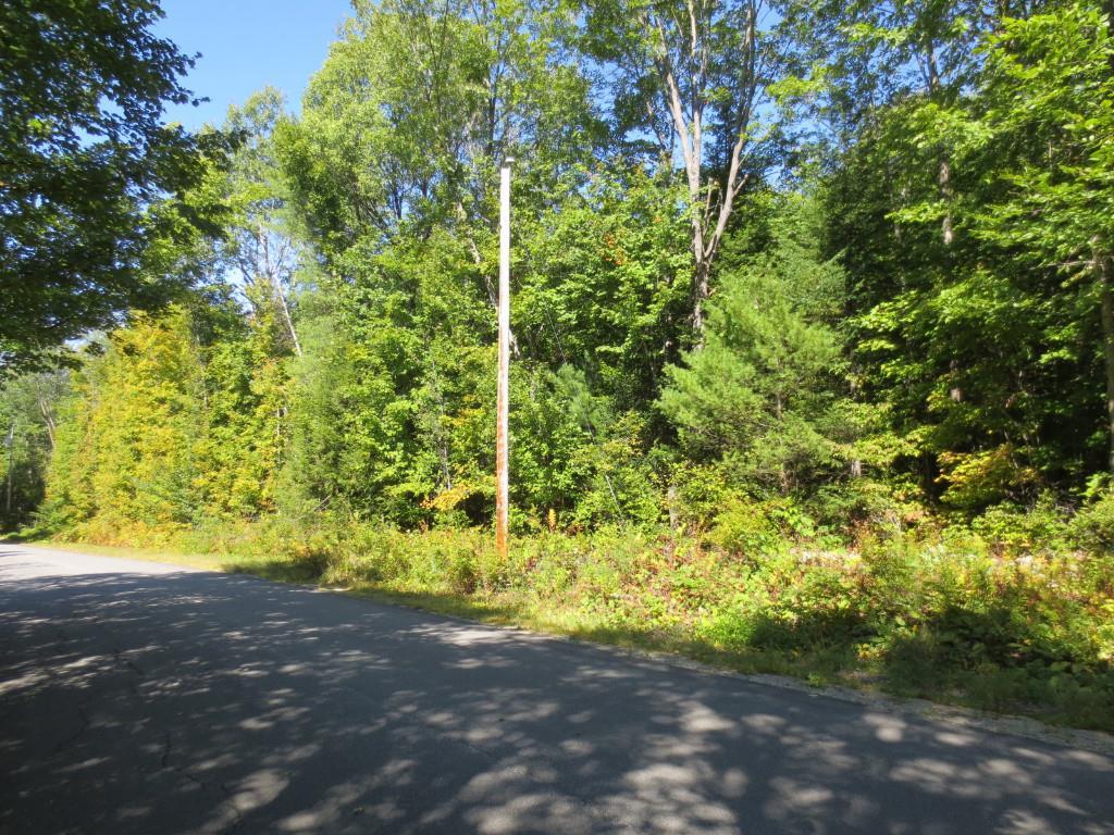 0 Cushman Pond Road Lovell, ME 04051 - Photo 2 of 2 Photo