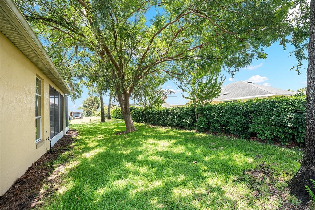11262 Southwest 73rd Circle Ocala, FL 34476 - Photo 51 of 53
