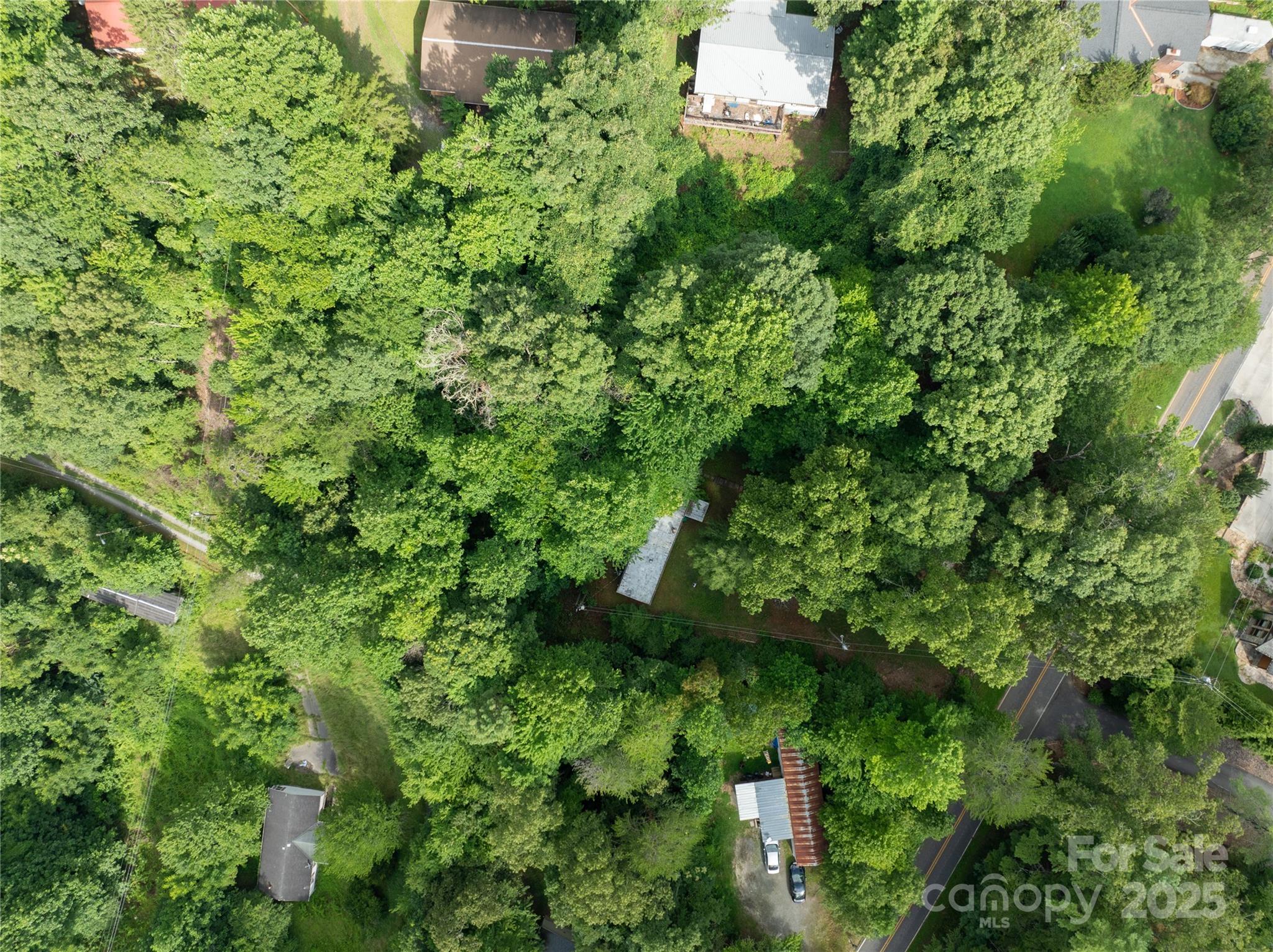 661 Black Hill Road Bryson City, NC 28713 - Photo 23 of 24 Gallery Image 23