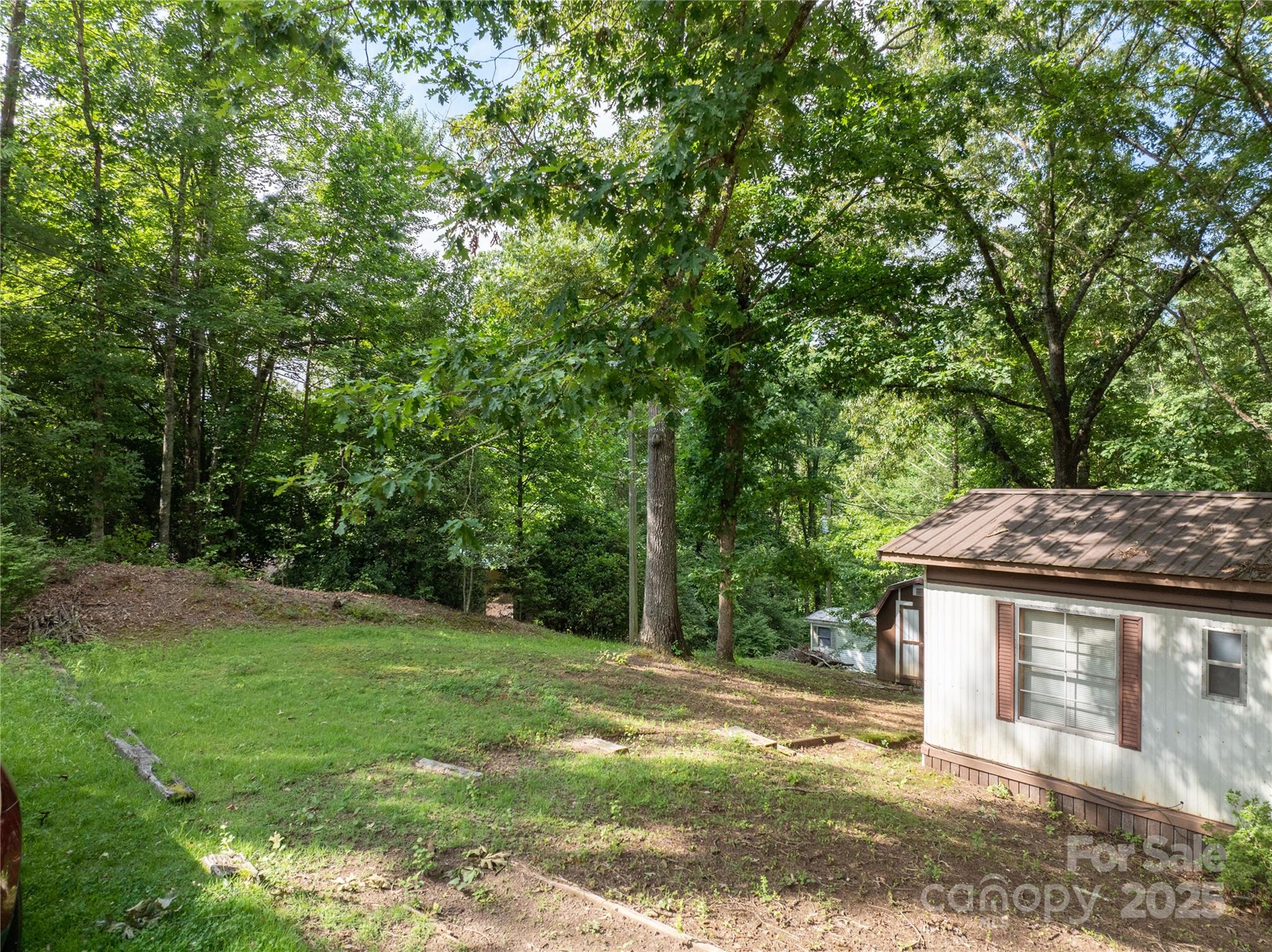 661 Black Hill Road Bryson City, NC 28713 - Photo 10 of 24 Gallery Image 10
