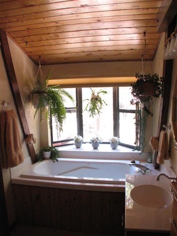 831 Peterson Road Lakeside, AZ 85929 - Photo 18 of 30