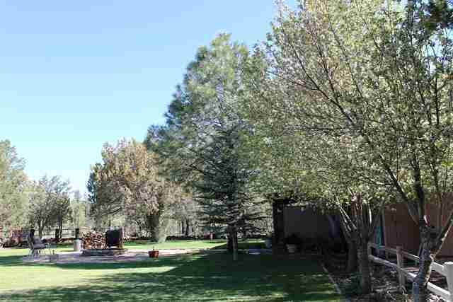 831 Peterson Road Lakeside, AZ 85929 - Photo 22 of 30