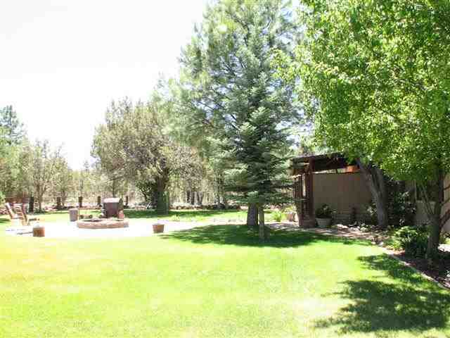 831 Peterson Road Lakeside, AZ 85929 - Photo 24 of 30