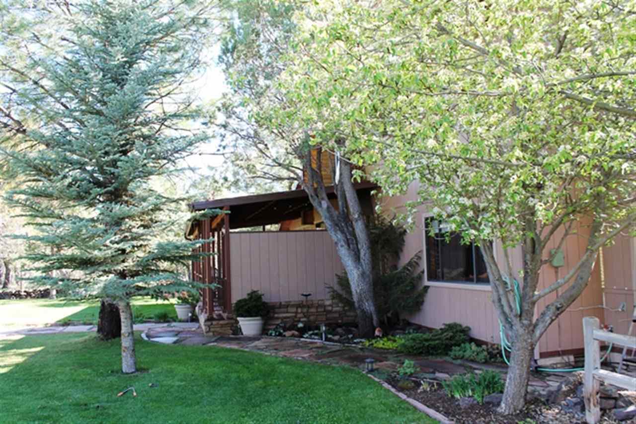 831 Peterson Road Lakeside, AZ 85929 - Photo 26 of 30