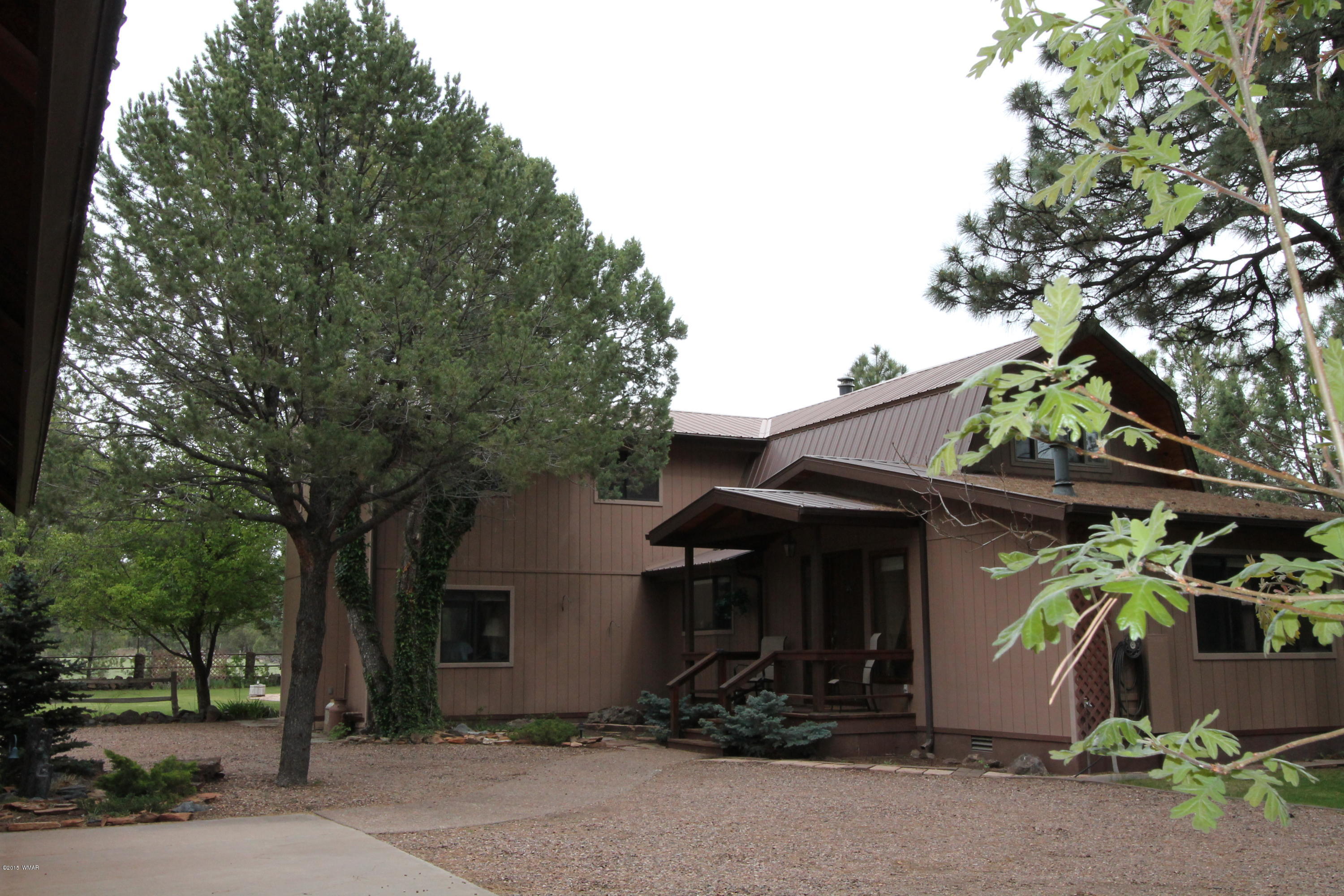 831 Peterson Road Lakeside, AZ 85929 - Photo 6 of 30
