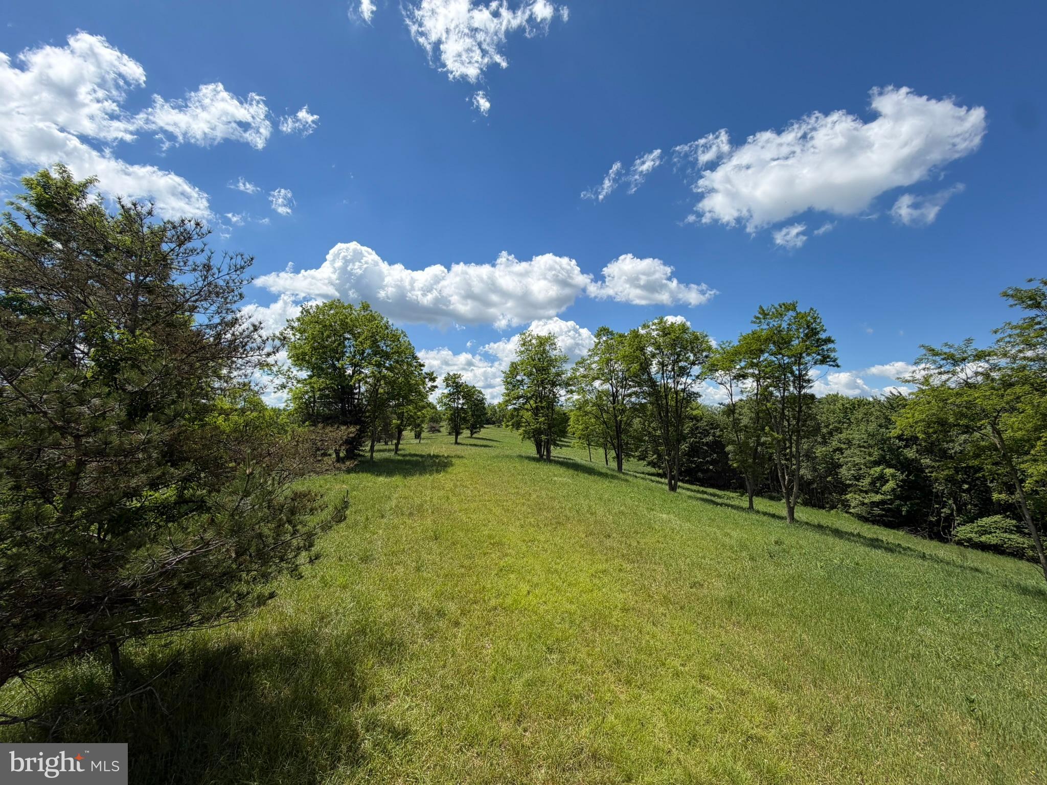 848 Sugar Camp Road Clearfield, PA 16830 - Photo 49 of 118