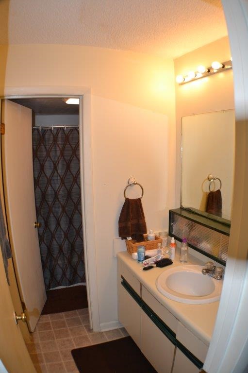 1372 Hunters Road, Unit B Harrisonburg, VA 22801 - Photo 14 of 22 a bathroom with a sink and a mirror