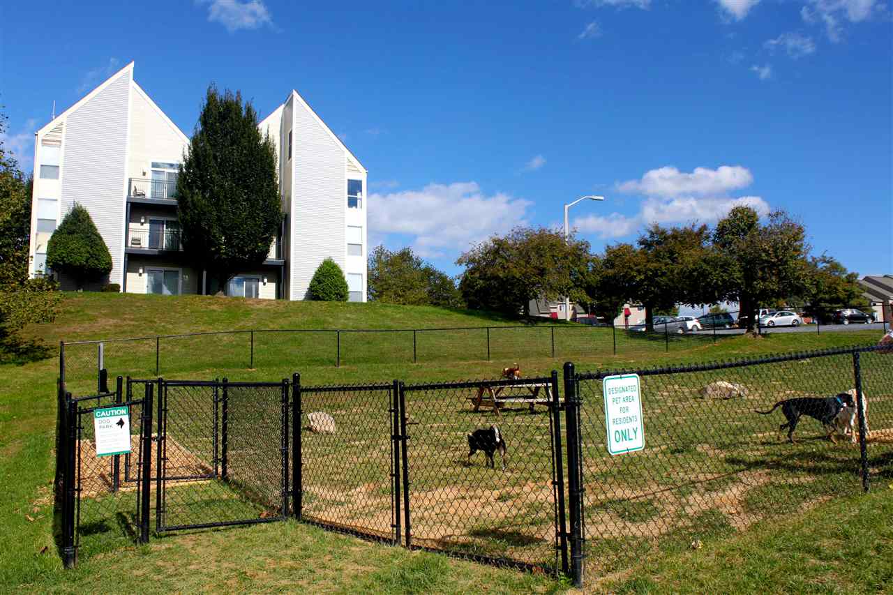 1372 Hunters Road, Unit B Harrisonburg, VA 22801 - Photo 19 of 22 a view of a water fountain in front of the house