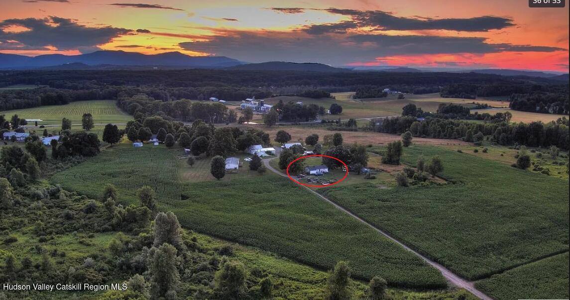 a view of a garden with a building in the background